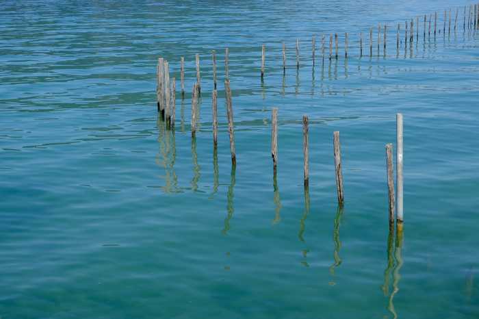 Guilhem Vellut from Annecy France