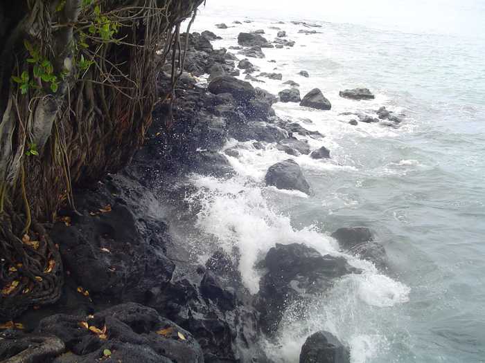 mwanasimba from La Réunion