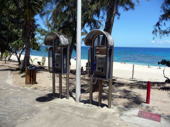 mwanasimba from La Réunion