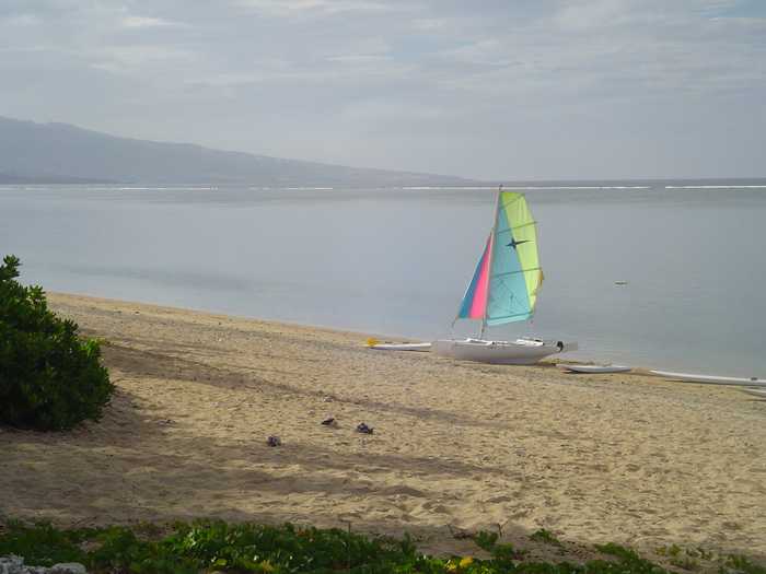 mwanasimba from La Réunion