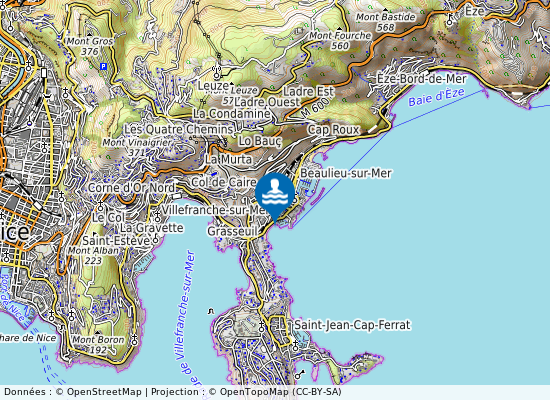 Fourmis sur la carte